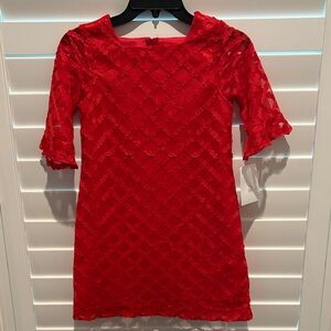 Charming Scarlet Lace Kids Dress